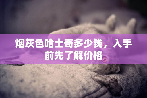 煙灰色哈士奇多少錢，入手前先了解價格