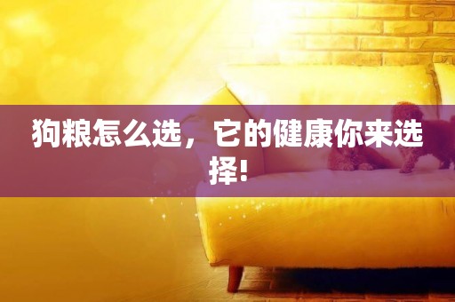 狗糧怎么選，它的健康你來選擇!