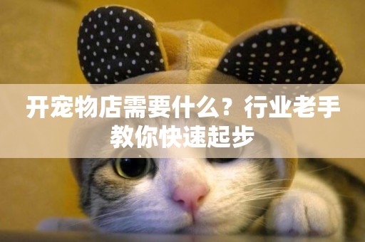 開寵物店需要什么？行業老手教你快速起步