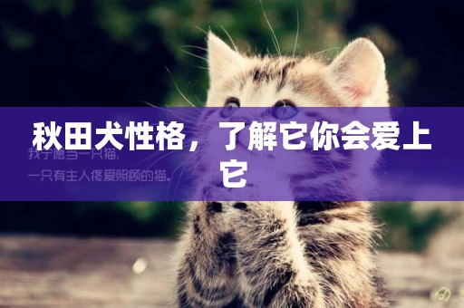 秋田犬性格，了解它你會愛上它