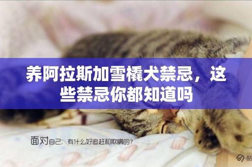 養阿拉斯加雪橇犬禁忌，這些禁忌你都知道嗎