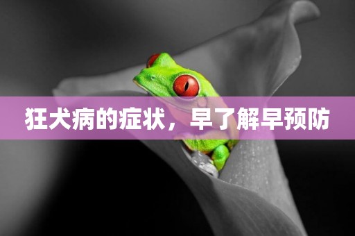 狂犬病的癥狀，早了解早預防