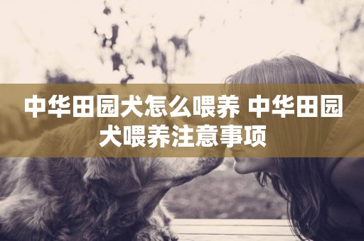 中華田園犬怎么喂養 中華田園犬喂養注意事項