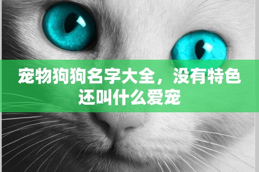 寵物狗狗名字大全，沒有特色還叫什么愛寵