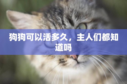 狗狗可以活多久，主人們都知道嗎