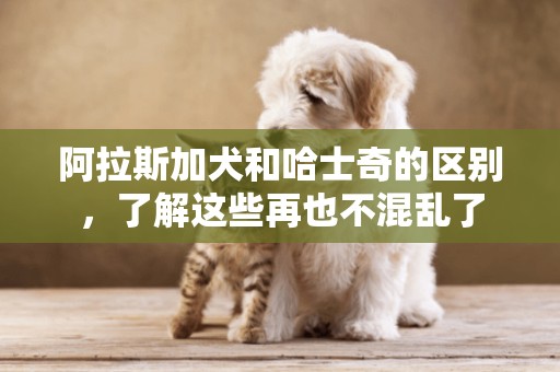 阿拉斯加犬和哈士奇的區別，了解這些再也不混亂了
