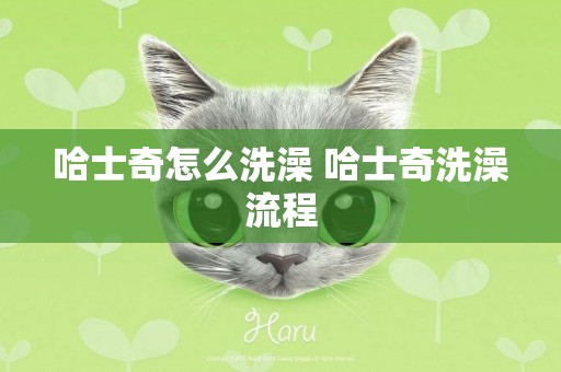 哈士奇怎么洗澡 哈士奇洗澡流程