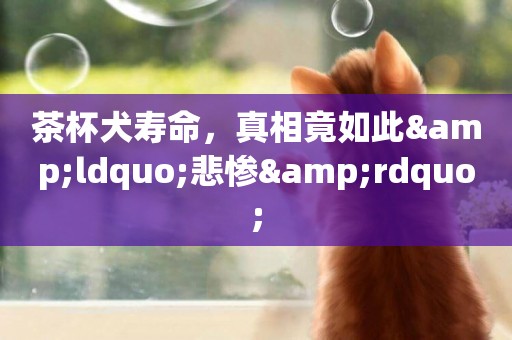 茶杯犬壽命，真相竟如此&ldquo;悲慘&rdquo;