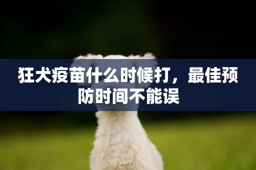 狂犬疫苗什么時候打，最佳預防時間不能誤