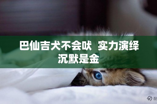 巴仙吉犬不會吠  實力演繹沉默是金