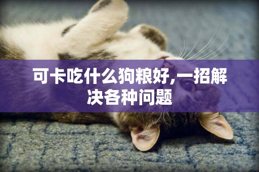 可卡吃什么狗糧好,一招解決各種問題