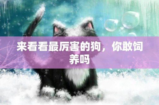 來看看最厲害的狗，你敢飼養嗎