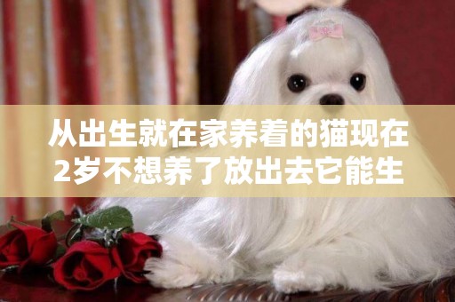 從出生就在家養著的貓現在2歲不想養了放出去它能生活嗎