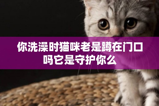 你洗澡時貓咪老是蹲在門口嗎它是守護你么