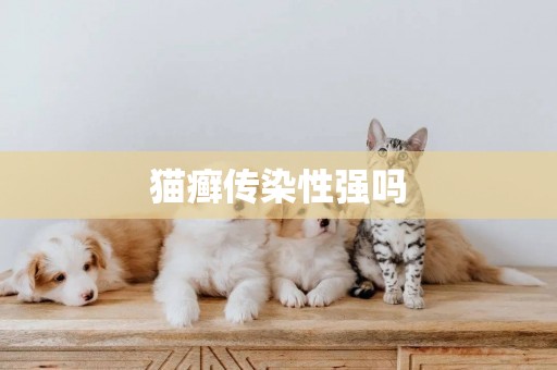 貓癬傳染性強嗎