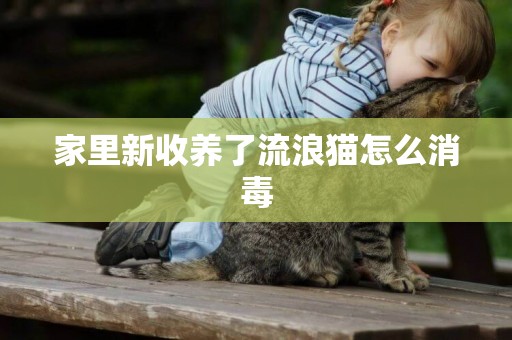 家里新收養了流浪貓怎么消毒
