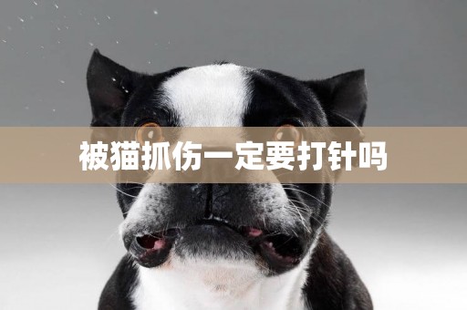 被貓抓傷一定要打針嗎
