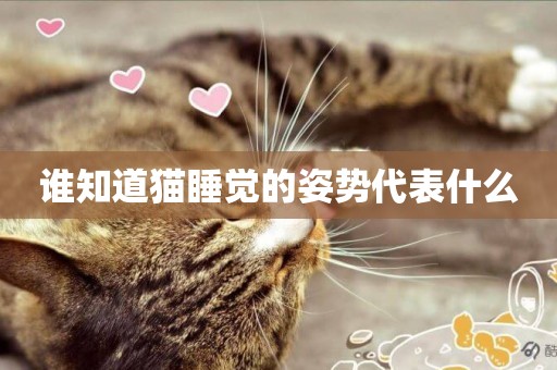 誰知道貓睡覺的姿勢代表什么