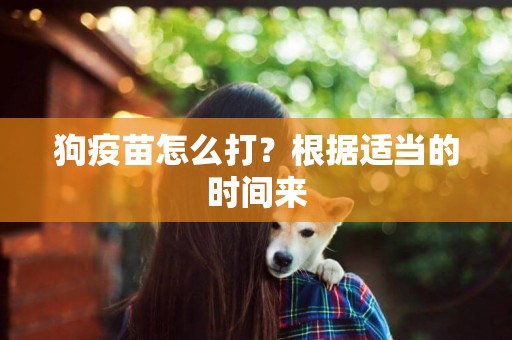 狗疫苗怎么打？根據適當的時間來