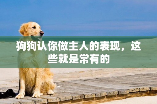 狗狗認你做主人的表現，這些就是常有的