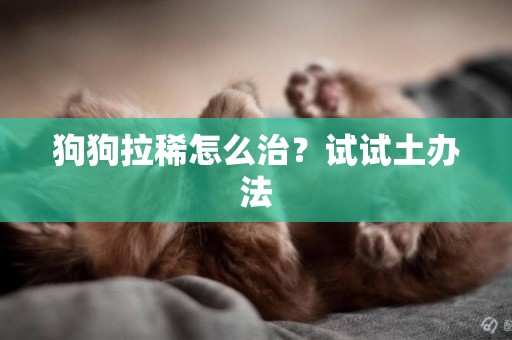 狗狗拉稀怎么治？試試土辦法