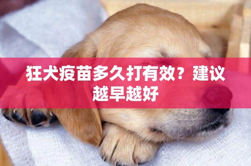 狂犬疫苗多久打有效？建議越早越好
