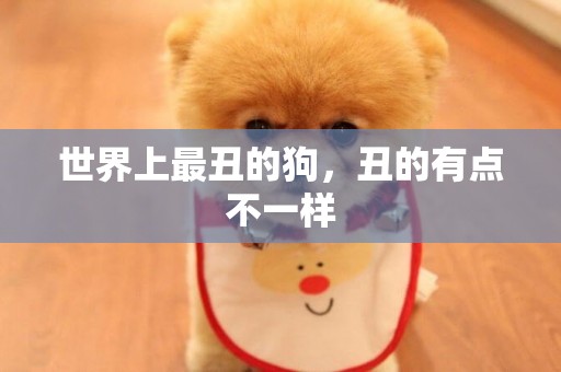 世界上最丑的狗，丑的有點不一樣