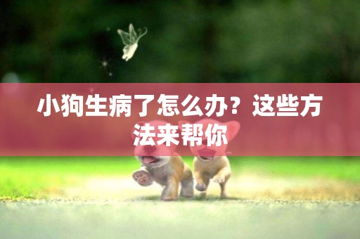 小狗生病了怎么辦？這些方法來幫你