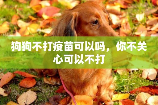 狗狗不打疫苗可以嗎，你不關心可以不打