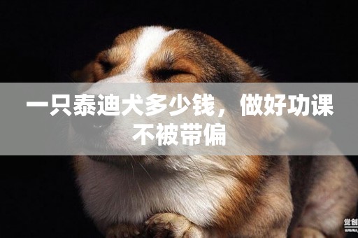 一只泰迪犬多少錢，做好功課不被帶偏