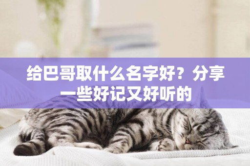 給巴哥取什么名字好？分享一些好記又好聽的