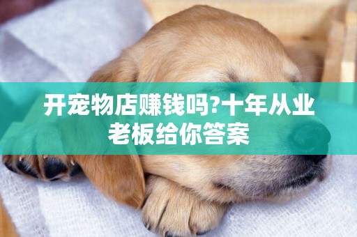 開寵物店賺錢嗎?十年從業老板給你答案