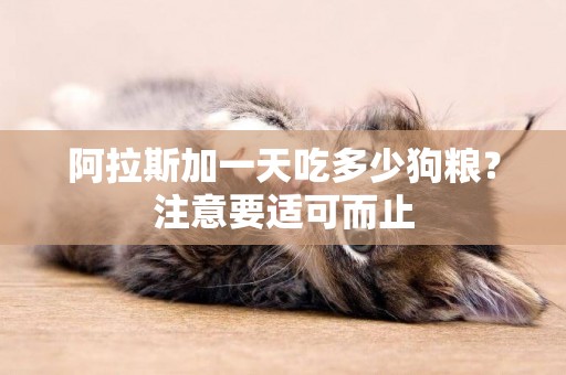 阿拉斯加一天吃多少狗糧？注意要適可而止