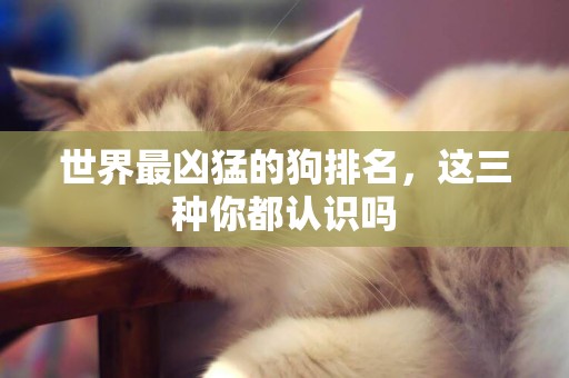 世界最兇猛的狗排名，這三種你都認識嗎