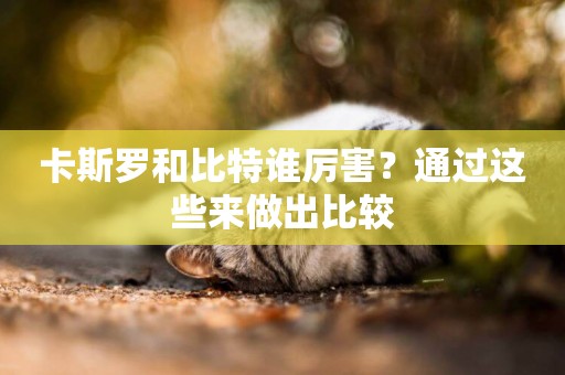 卡斯羅和比特誰厲害？通過這些來做出比較
