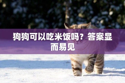狗狗可以吃米飯嗎？答案顯而易見