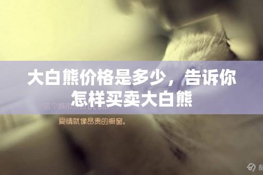 大白熊價格是多少，告訴你怎樣買賣大白熊