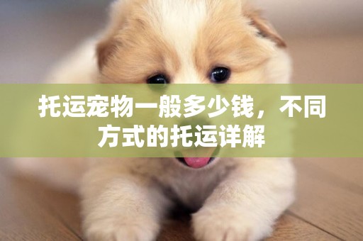 托運寵物一般多少錢，不同方式的托運詳解