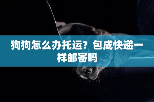 狗狗怎么辦托運？包成快遞一樣郵寄嗎