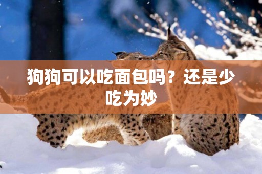 狗狗可以吃面包嗎？還是少吃為妙