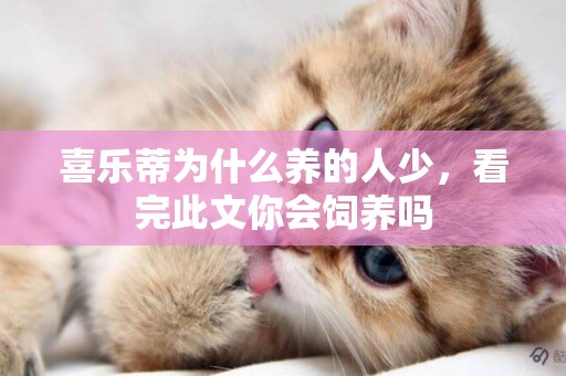 喜樂蒂為什么養的人少，看完此文你會飼養嗎