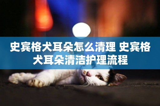 史賓格犬耳朵怎么清理 史賓格犬耳朵清潔護理流程