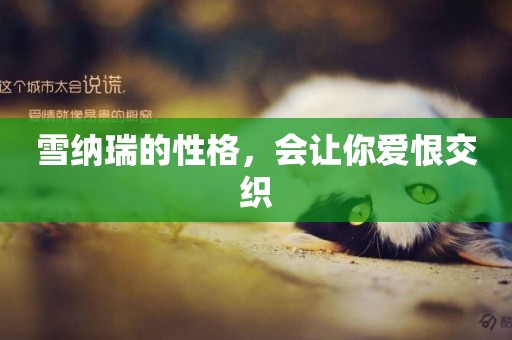 雪納瑞的性格，會讓你愛恨交織