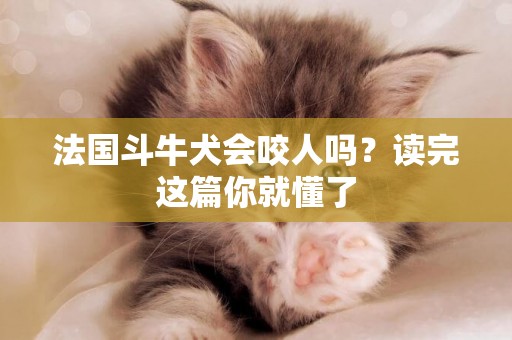 法國斗牛犬會咬人嗎？讀完這篇你就懂了
