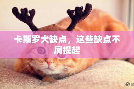 卡斯羅犬缺點，這些缺點不屑提起