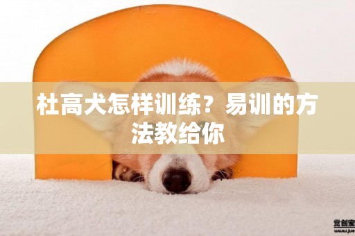 杜高犬怎樣訓練？易訓的方法教給你