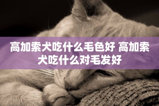 高加索犬吃什么毛色好 高加索犬吃什么對毛發好