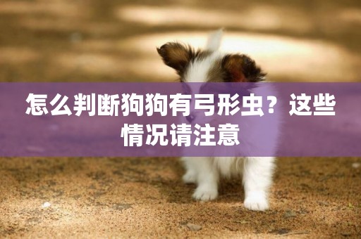怎么判斷狗狗有弓形蟲？這些情況請注意