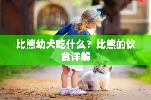 比熊幼犬吃什么？比熊的飲食詳解