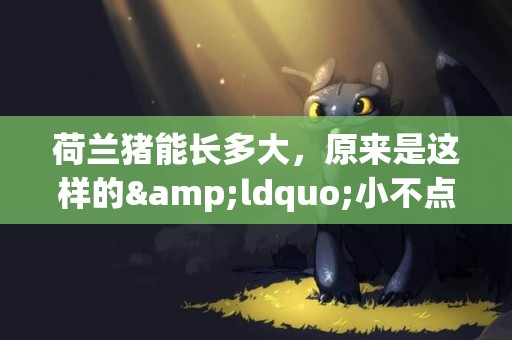 荷蘭豬能長多大，原來是這樣的&ldquo;小不點&rdquo;